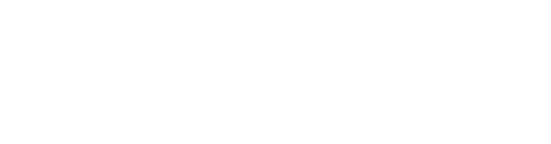 wasmuth-service-ablauf-transparent