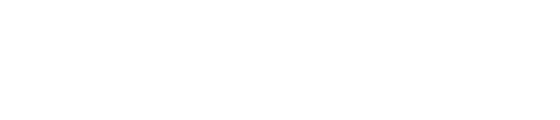 wasmuth-service-logo-weiss-transparent